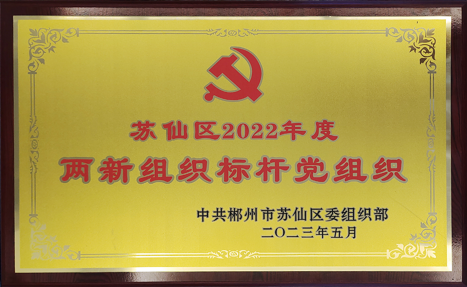 两新组织标杆党组织（2023）